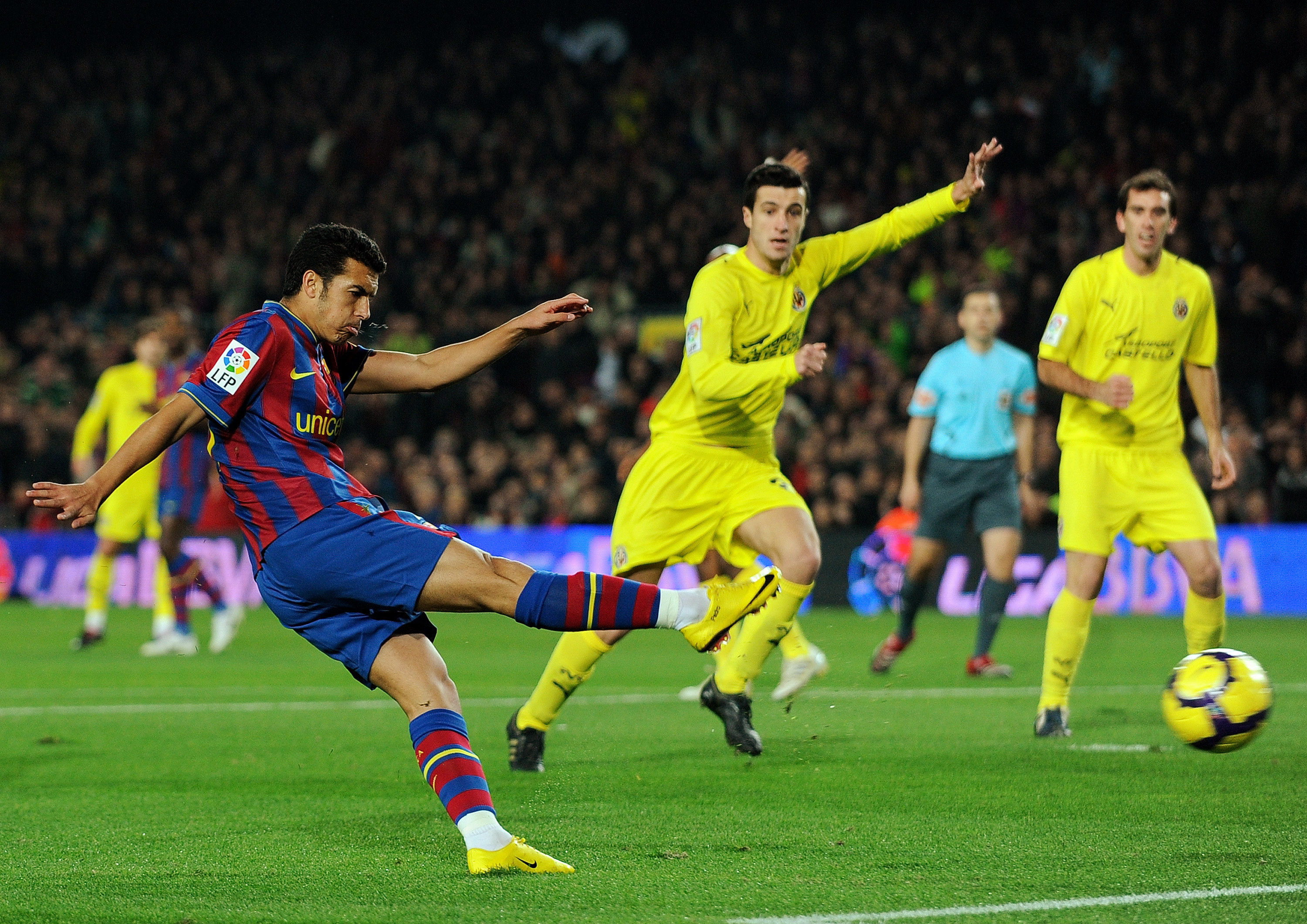 受国内球迷 受国内球迷