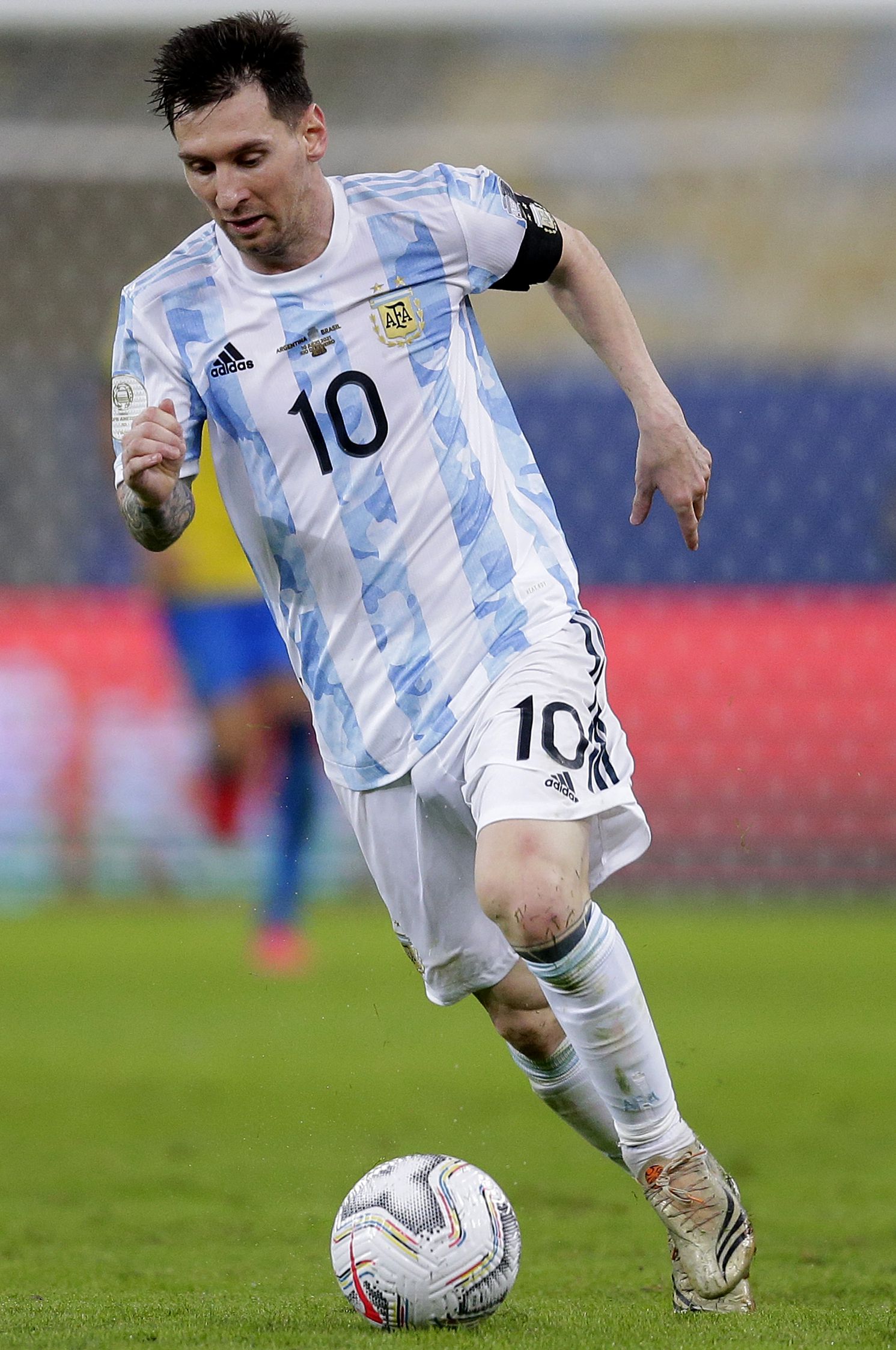 带来了新的 带来了新的